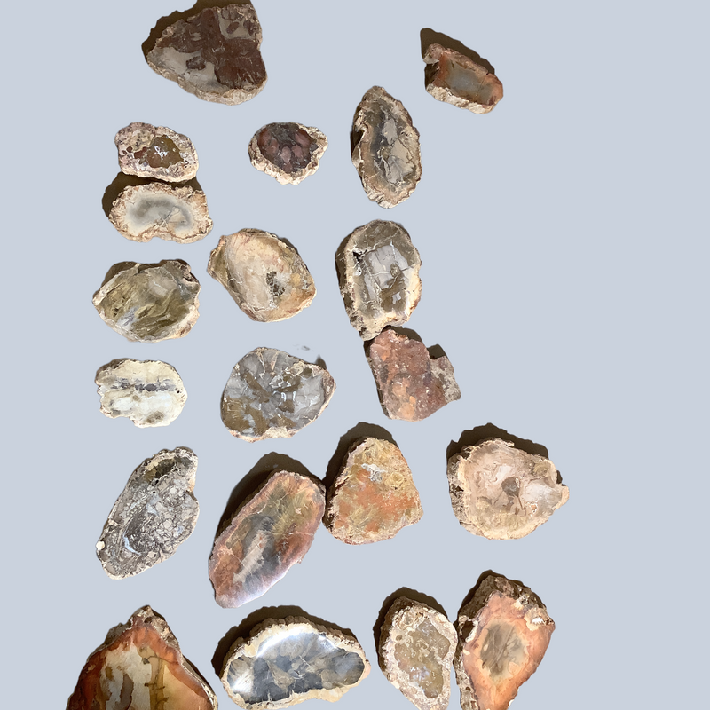 Petrified Wood Stones