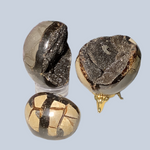 Septarian Specimens