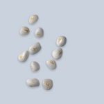 Runes