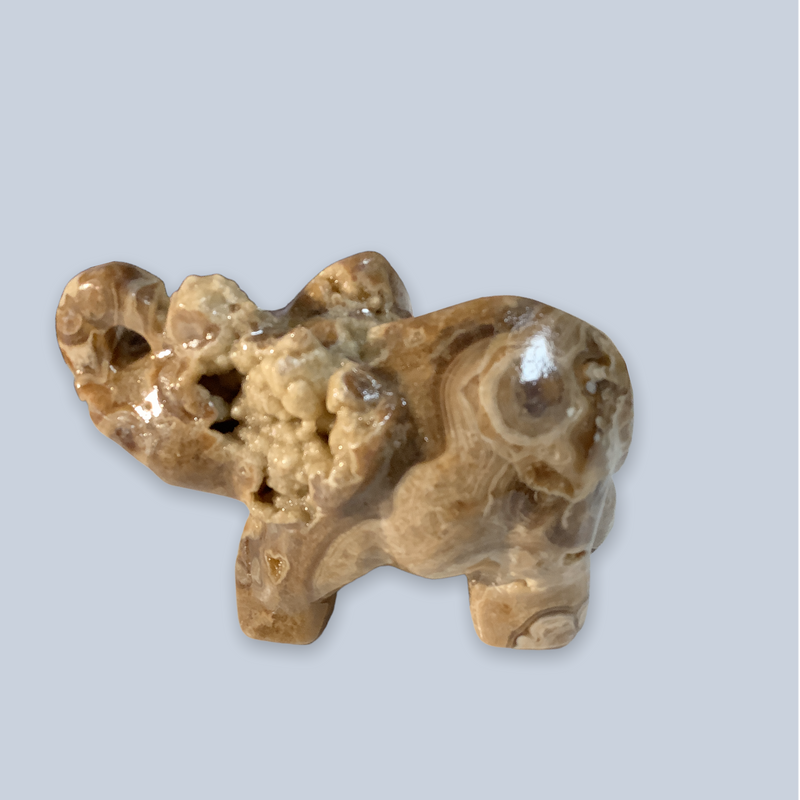 Cherry Creek Agate Specimens