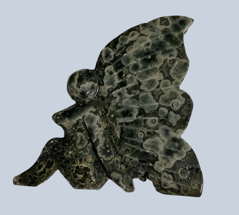 Flower Agate Specimens