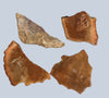 Petrified Wood Stones
