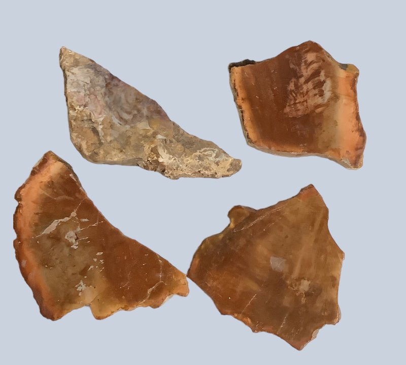 Petrified Wood Stones