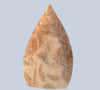 Crazy Lace Agate Specimens
