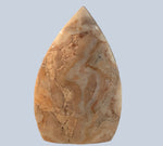 Crazy Lace Agate Specimens