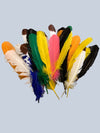 Turkey Feather