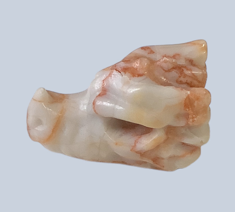 Crazy Lace Agate Specimens