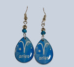 Resin Astrological Sign Earrings