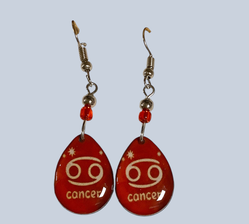 Resin Astrological Sign Earrings