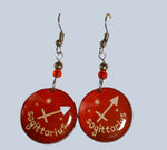 Resin Astrological Sign Earrings