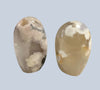 Flower Agate Specimens