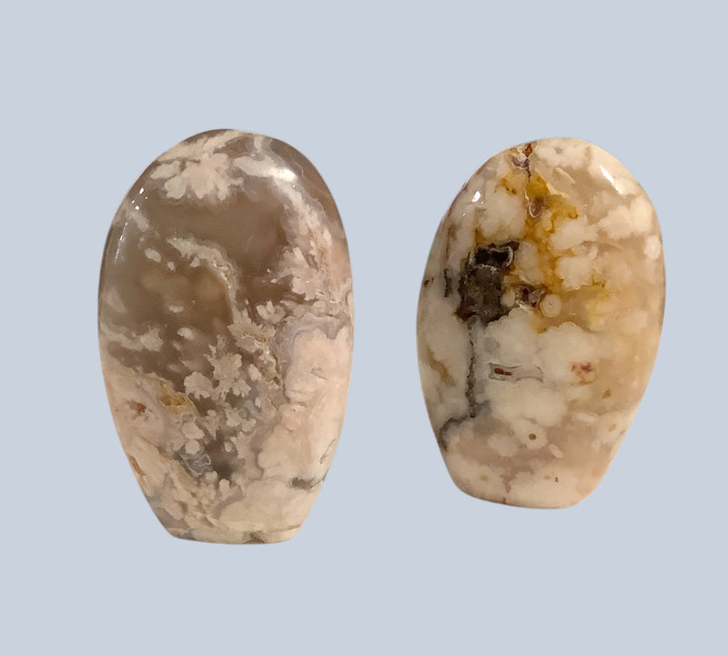 Flower Agate Specimens