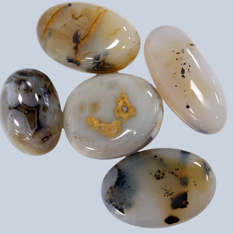 Dendritic Agate Metaphysical and spiritual crystal gem stones rooted in Melbourne, Florida – Each product carries the natural essence of Brevard County’s sun, sea, sand, and soil. Essential Elements Wellness
