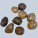Jasper Stones