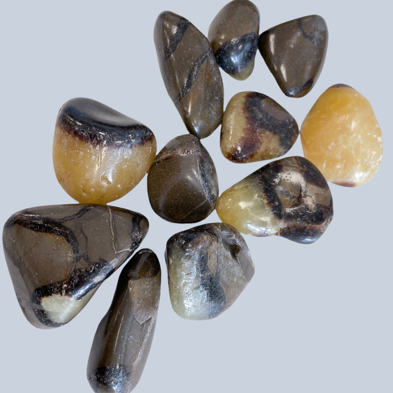 Septarian Stones