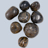 Stromatolite Stones