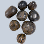 Stromatolite Stones