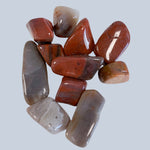 Petrified Wood Stones