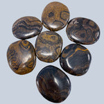 Stromatolite Stones