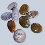 Jasper Stones