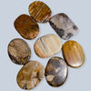 Petrified Wood Stones