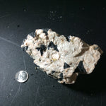 Black Tourmaline Specimens