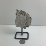 Gold Mica Specimens
