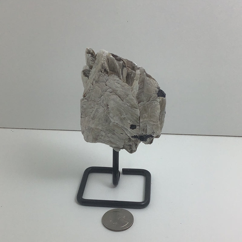 Gold Mica Specimens