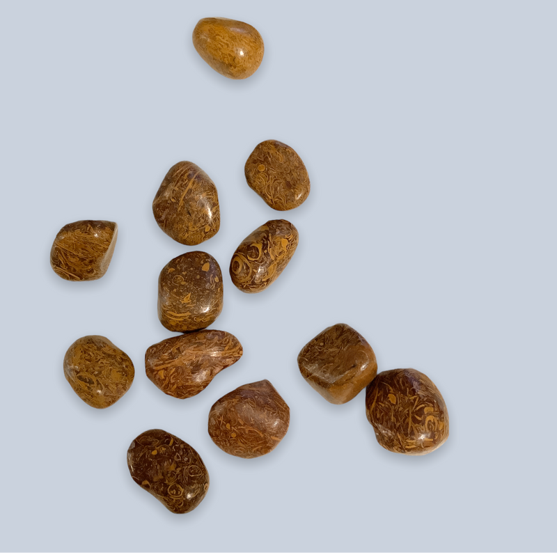 Jasper Stones