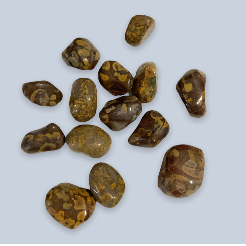 Jasper Stones