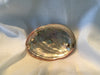 Small Abalone Shell
