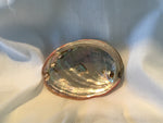Small Abalone Shell