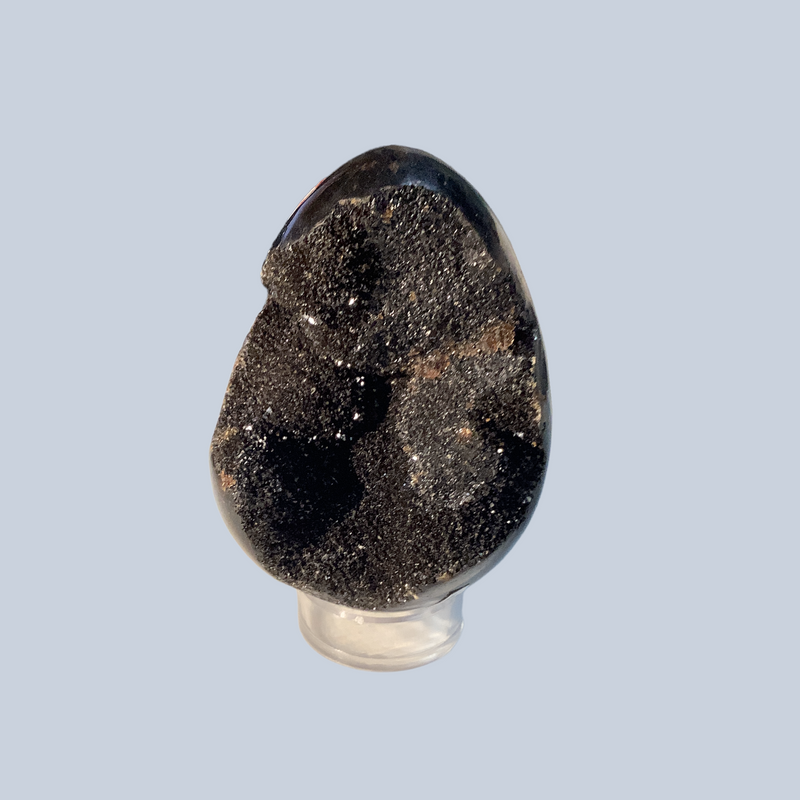 Septarian Specimens