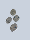 Jasper Stones