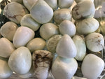 Chrysoprase Tumble Stone