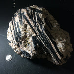 Black Tourmaline Specimens