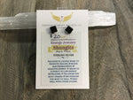Shungite sterling silver studs