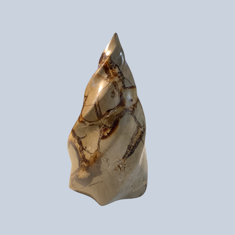 Septarian Specimens
