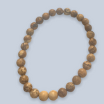 Picture Jasper Bracelet