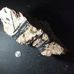 Black Tourmaline Specimens