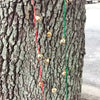 Brass Bells on Cord