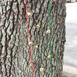 Brass Bells on Cord
