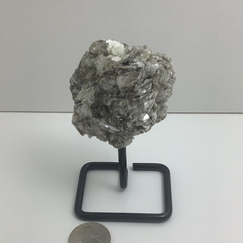 Gold Mica Specimens