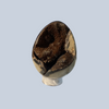 Septarian Specimens