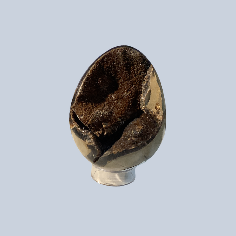Septarian Specimens