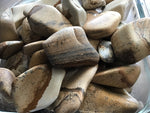 Jasper Stones