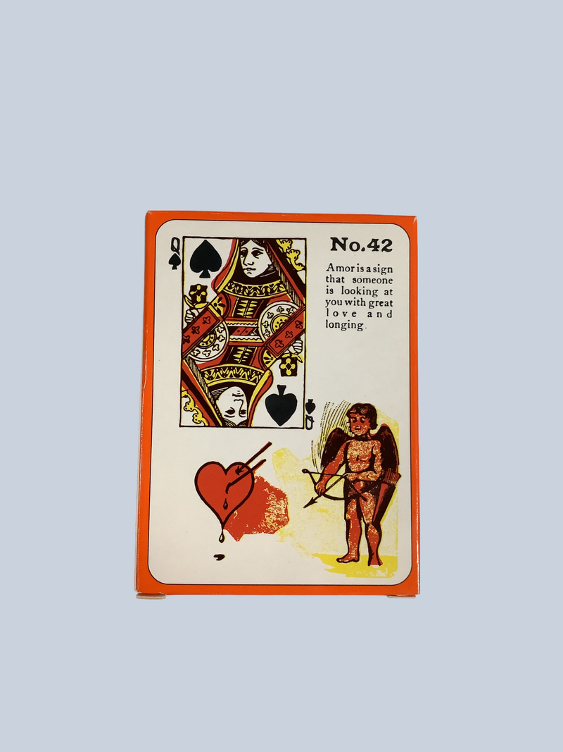 Gypsy Witch Fortune Telling Cards