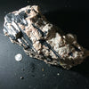Black Tourmaline Specimens
