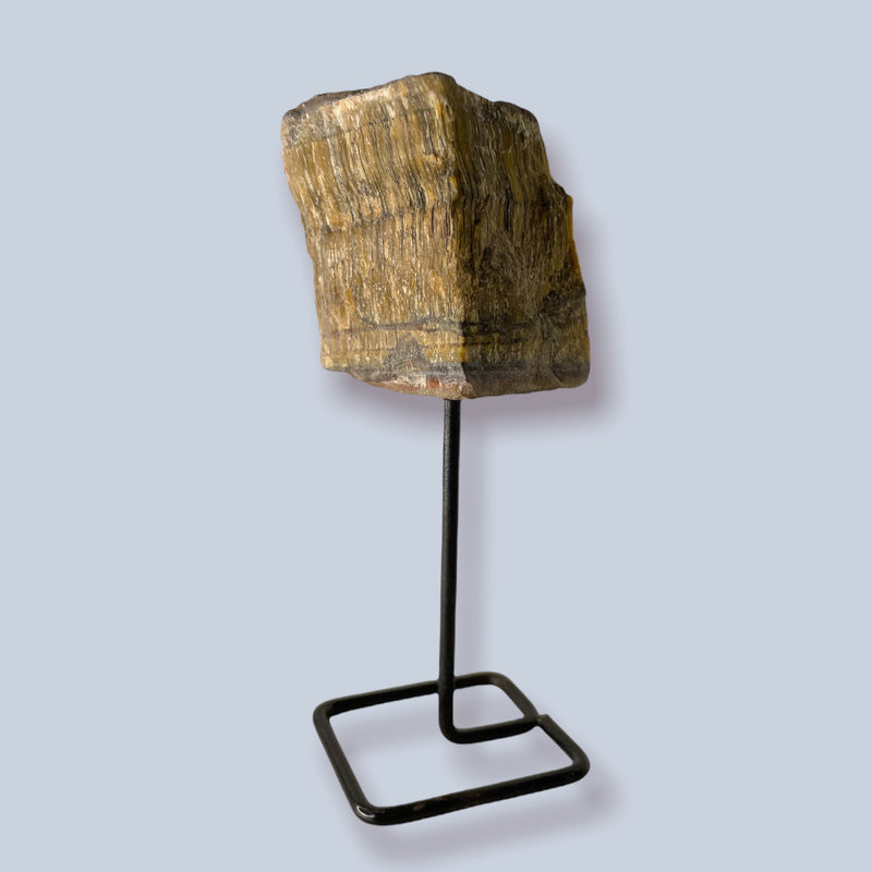 Tiger Eye Specimens