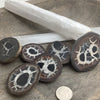 Septarian Specimens